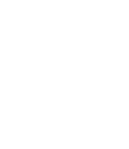 Dignitas Logo